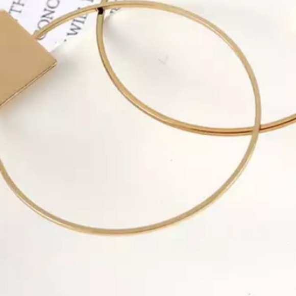 Round Hanging Earrings - Picture 3 of 4